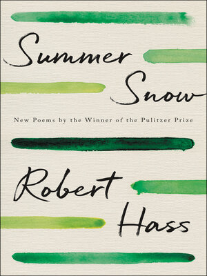 Summer Snow - ebook